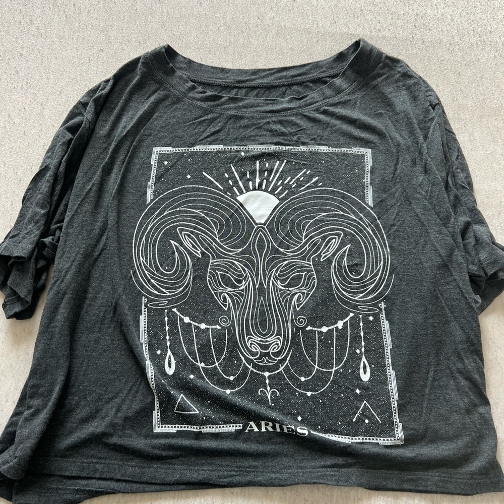 Aries Graphic Gray Crop Top